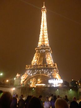 Photo of Seine River Cruise and Paris Illuminations Tour You have never seen the Eiffel Tower until you see it at night! , terrylou - September 2014