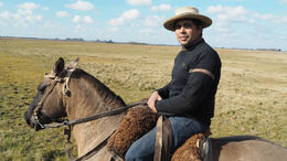 Photo of The horseback ride The gaucho rode among us and was happy to chat and answer questions. He later gave us a magnificent demonstration on the trust between him and his horse. , Lesleyanne - June 2016