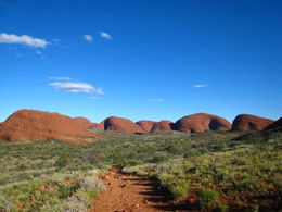 Photo of View of the Olgas Almost at the end of the trail, getting a great view point , Patricia P - January 2011