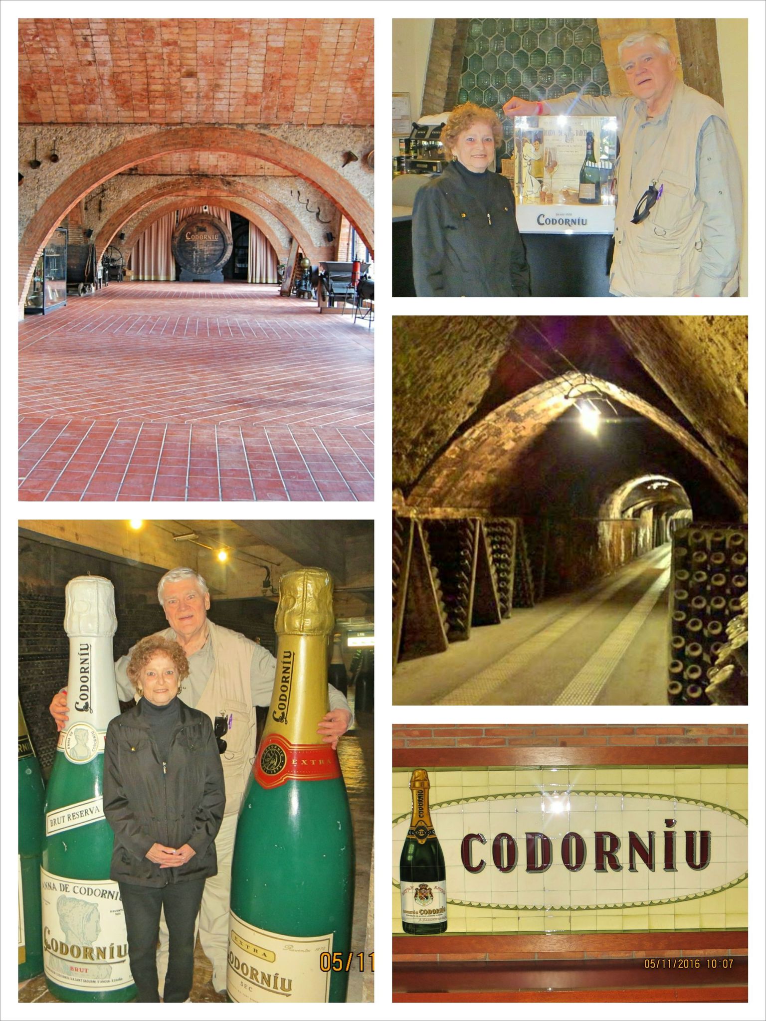 Condorniu Vineyards Tour