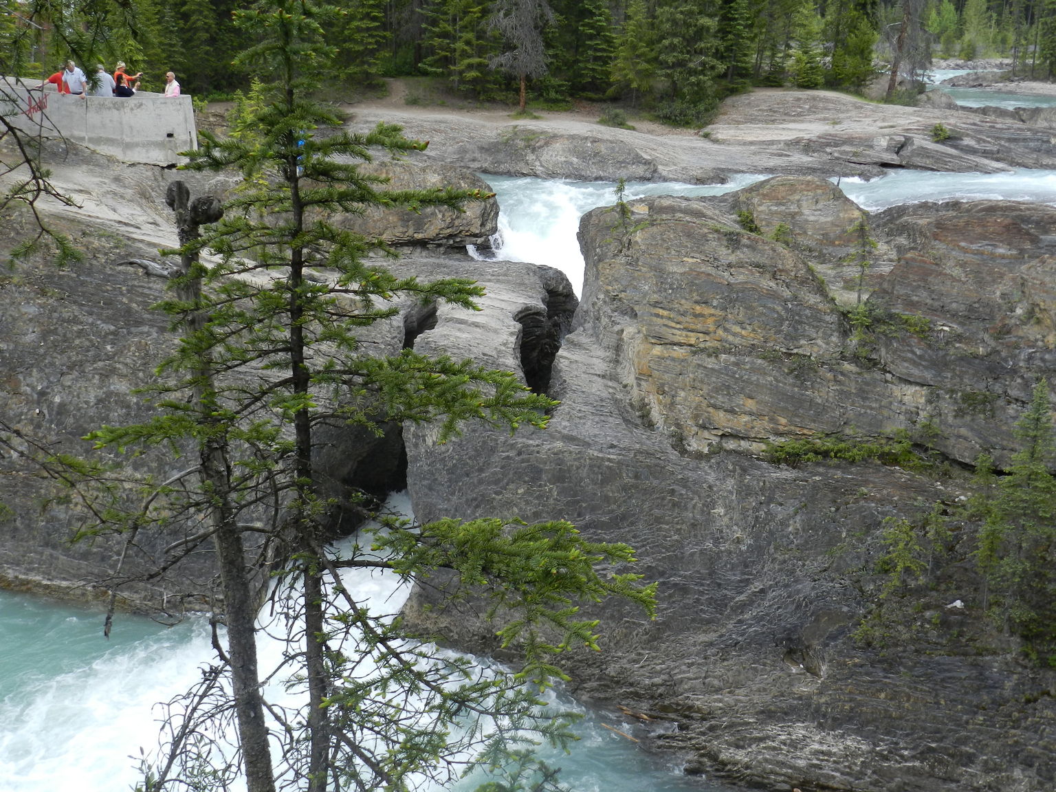 Natural Land Bridge