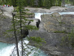Photo of Natural Land Bridge A natural land bridge created by the action of the Kicking Horse River near Field, BC , Amadeo P - August 2016