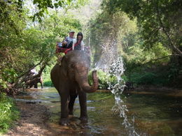 Photo of Time for a shower One American tourist, one Japanese tourist, one Thai elephant, one memorable ride. , Alan R - February 2012
