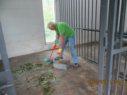 Photo of Cleaning Up That's me in the photo. How many people can say they have cleaned up panda poop! , ed m - October 2014