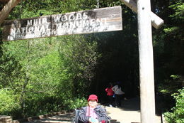 Photo of Entrance to Muir woods National Park cousin Minda taken in front of Muir woods National Park , Terri - July 2016