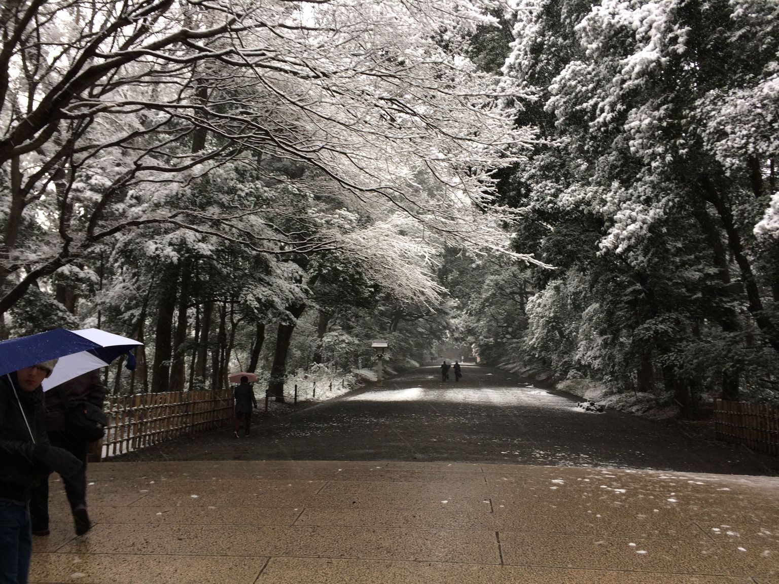 The walkway to Meiji Shrine in the snow
