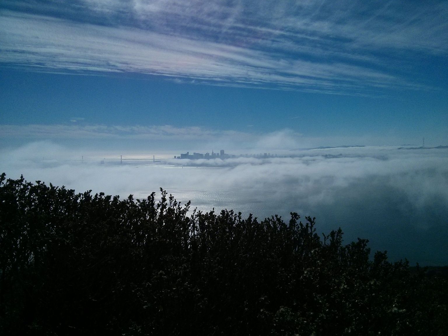 View of San Francisco.
