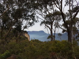 Photo of Viewpoint on Blue Mountain Photo stop at a viewpoint on Blue Mountain , Ekta R - June 2016