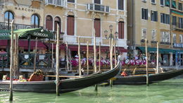 Photo of Cruising the canals of Venice What a wonderful boat trip through the Grand Canal....would not have missed this for the world! , pegnek - July 2015