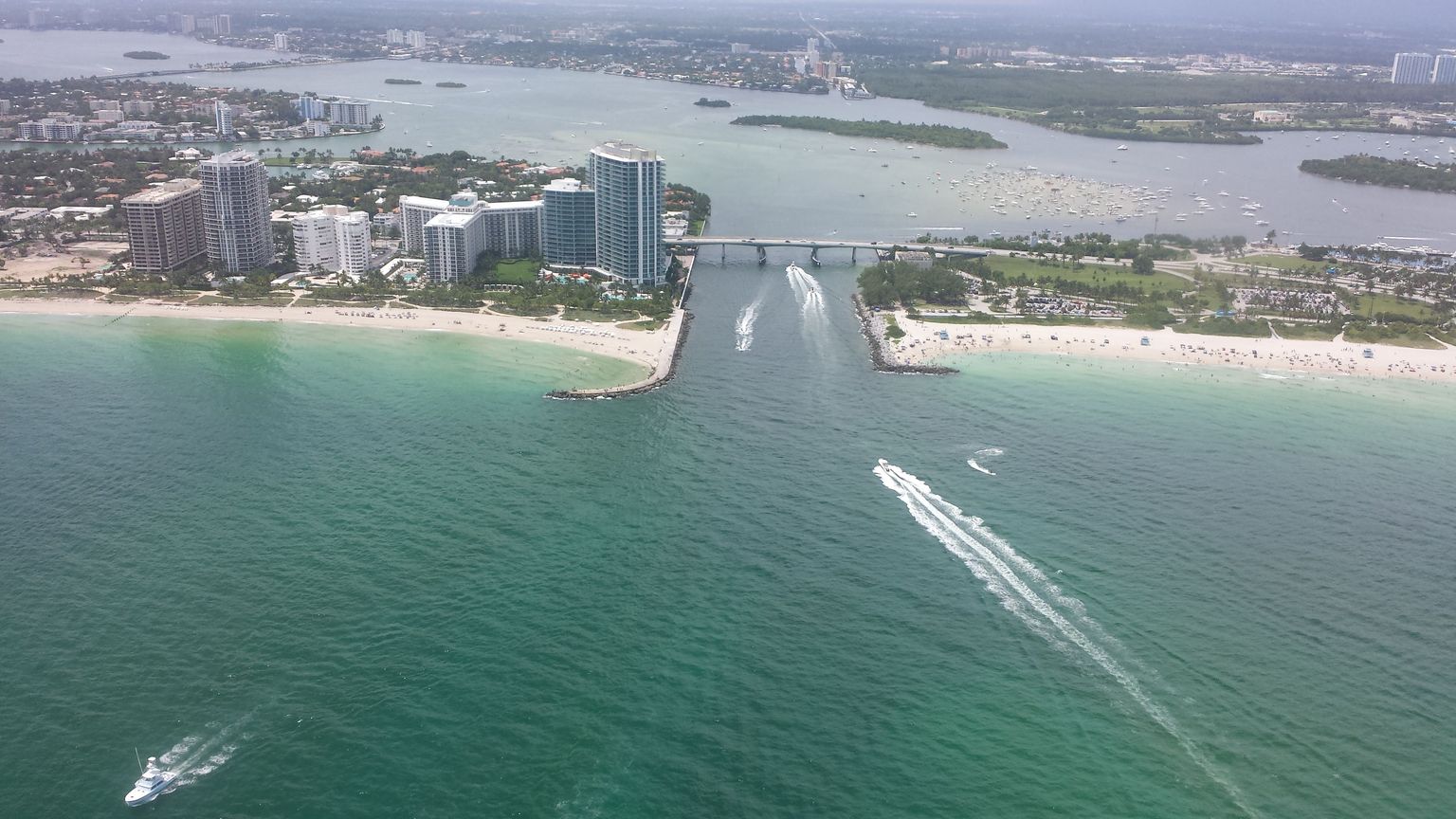 Notice how the swamp water is much darker than the ocean water.