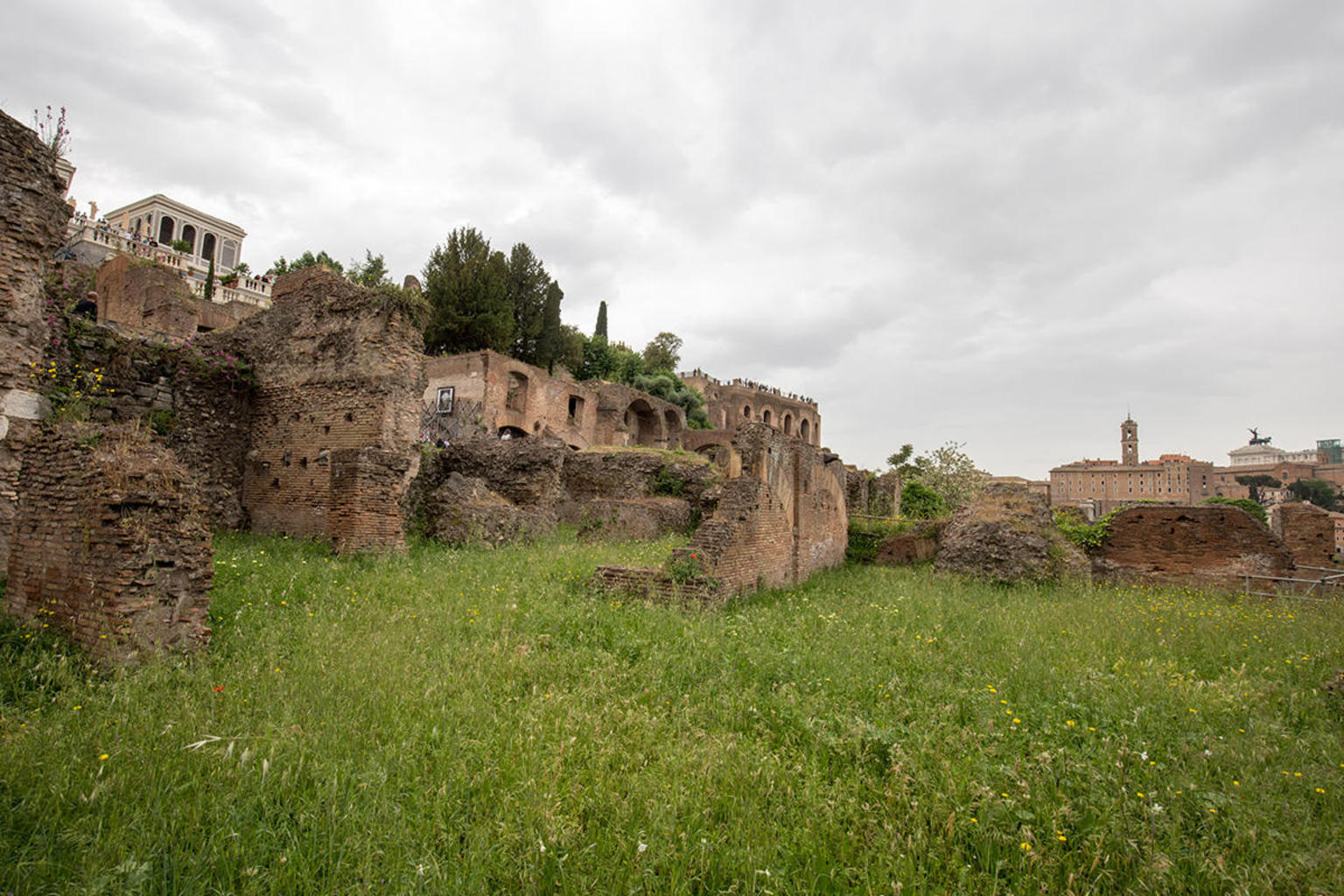 Viator_Photographer_437700.jpg