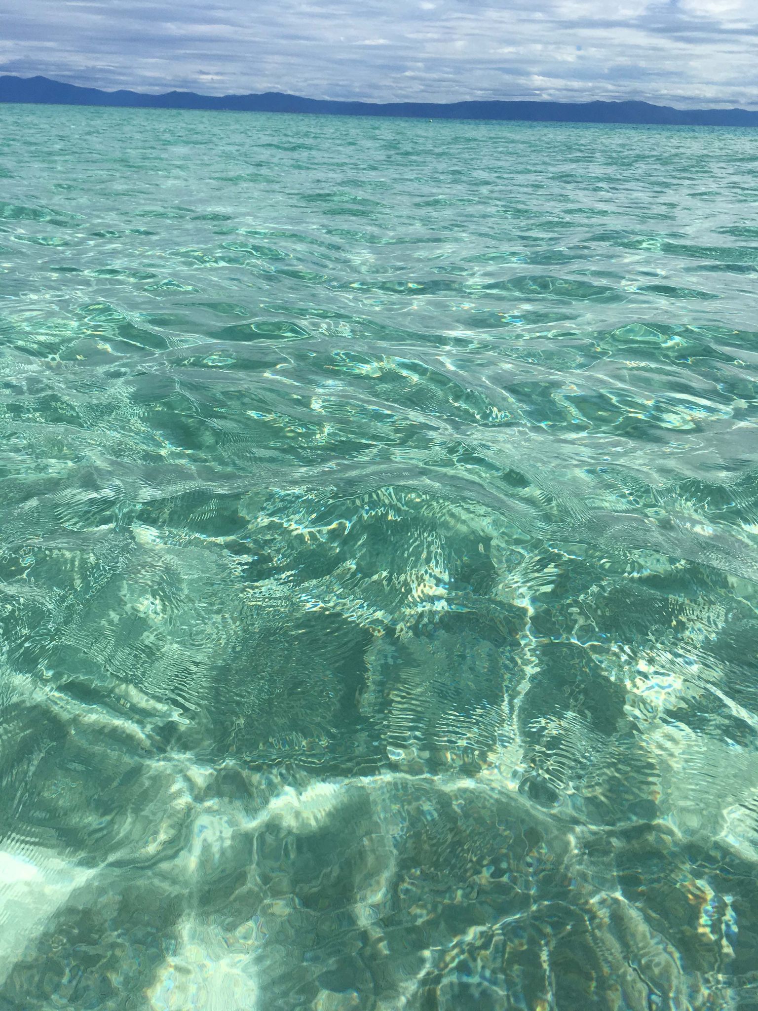 A translucent sea.