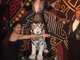 Photo of About to be lunch! Sigfried and Roy's tiger is about to have me for lunch....Hey Nicolas Cage, you want to help me out?, Michele Carbajal Curiel - May 2013