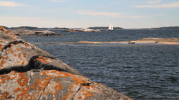 Photo of Kayaking Tour of Stockholm Archipelago There is nothing like kayaking through the Archipelago in Stockholm! - March 2012