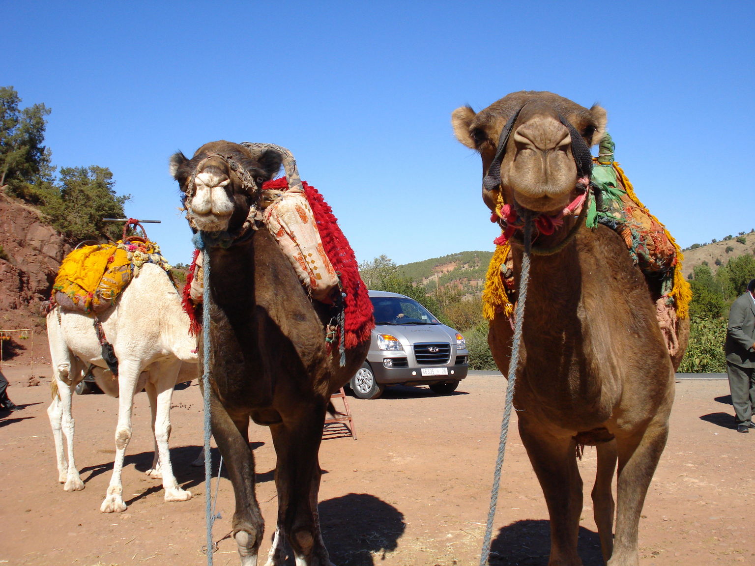 New friends outside of Marrakech