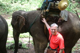 Photo of Posing with the elephant! The elephant rode us up the jungle river, performed clever stunts, and posed for pics! , Michael W - August 2013
