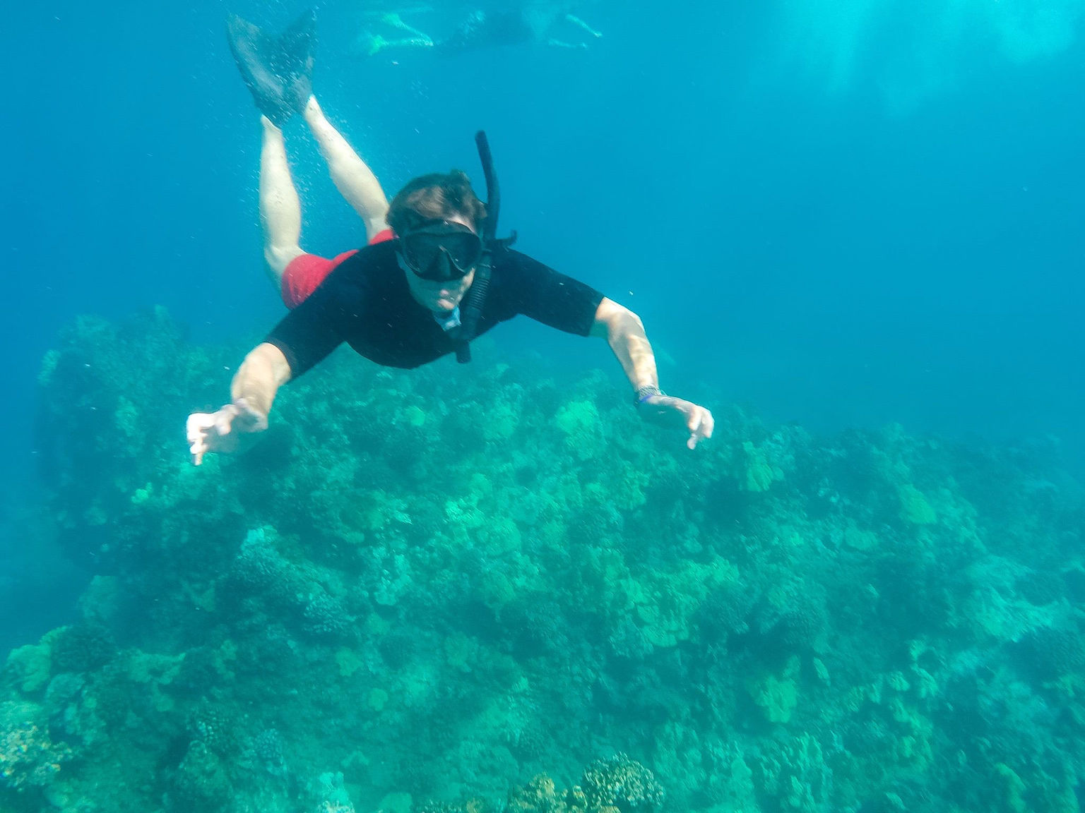 Snorkeling at Molokini