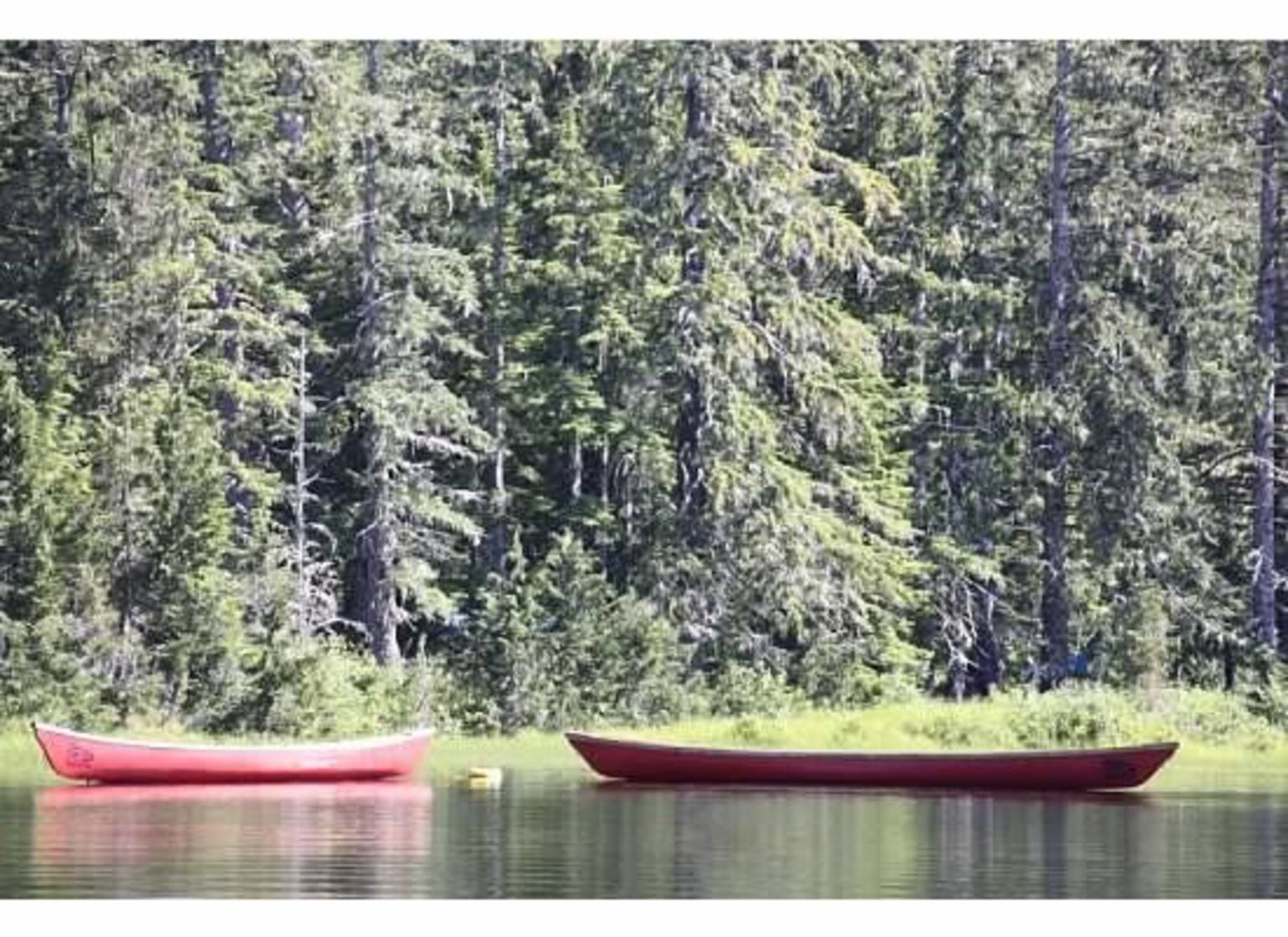Canoe