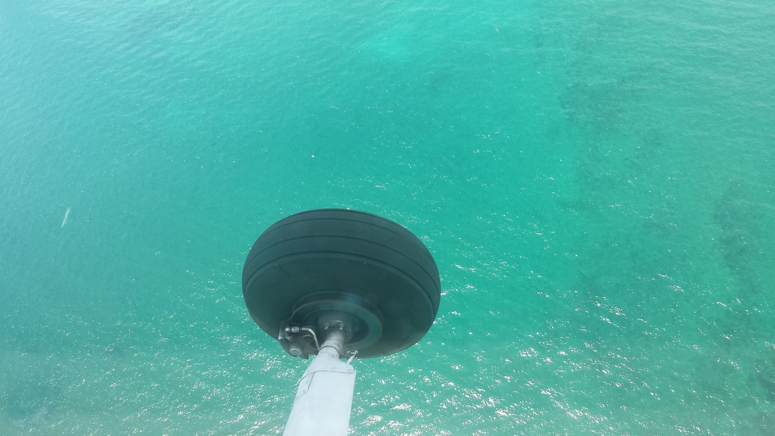 The wheel