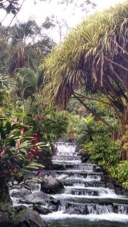 Photo of Beautiful Tabacon Hot Springs Waterfall You can soak in the waterfall pools and walk on the trails to find one hidden soaking spot after another. , Mary Jo R - August 2014