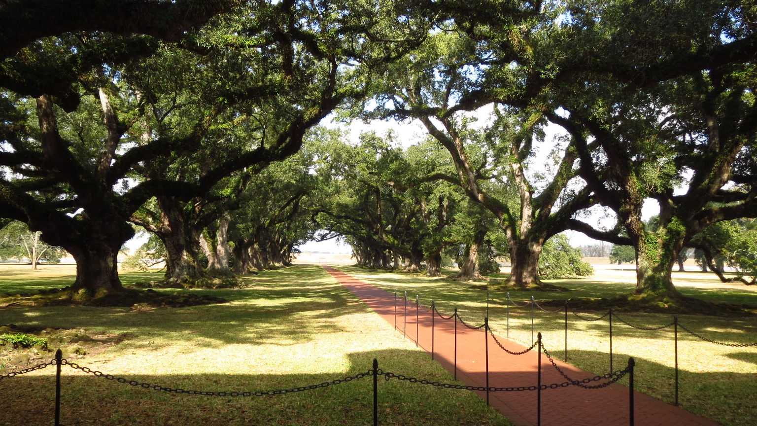 Oak Alley