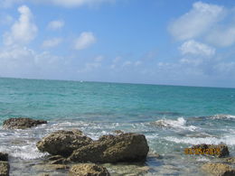 Photo of One Stop On Tour This is part of the tour but on private property. It is a gorgeous view of the Atlantic Ocean you must see! , Tracy F - March 2015