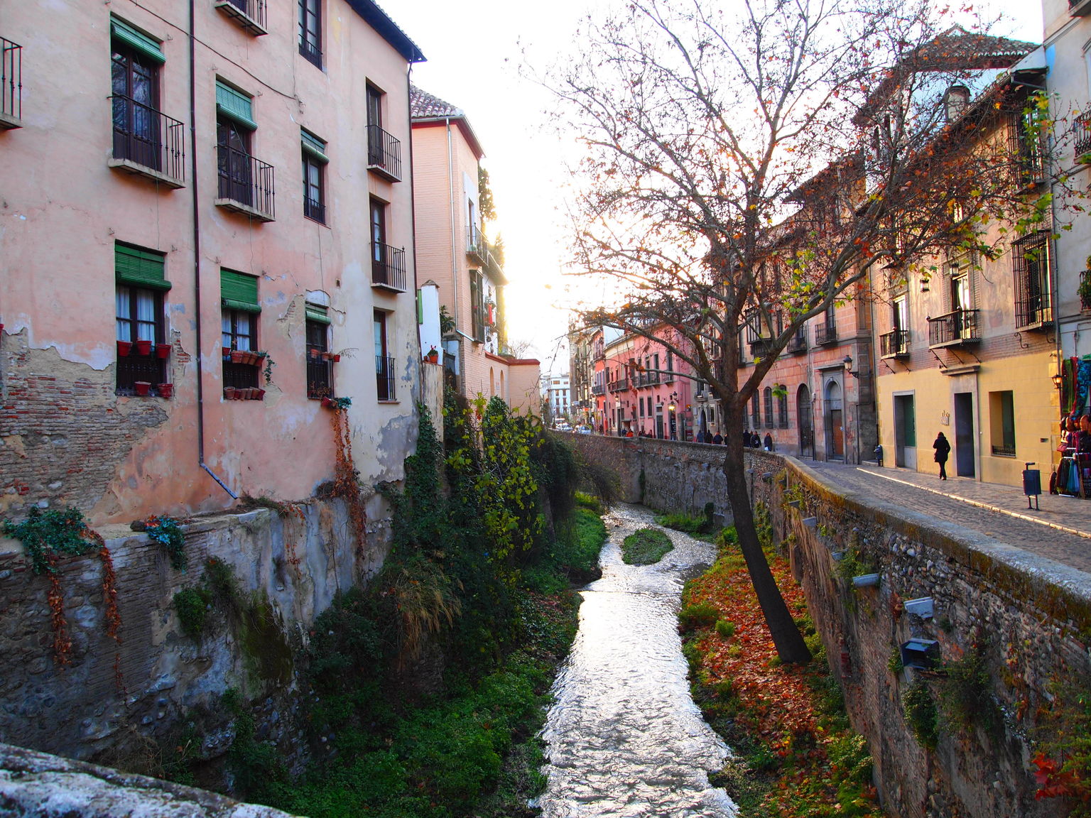 Granada and Albaicin walking tour