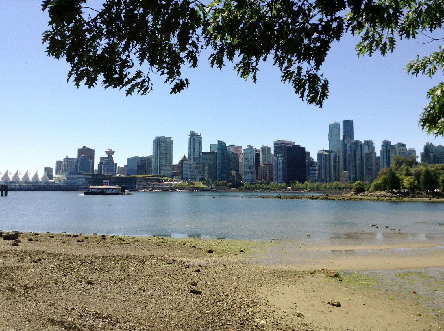 Vancouver Skyline