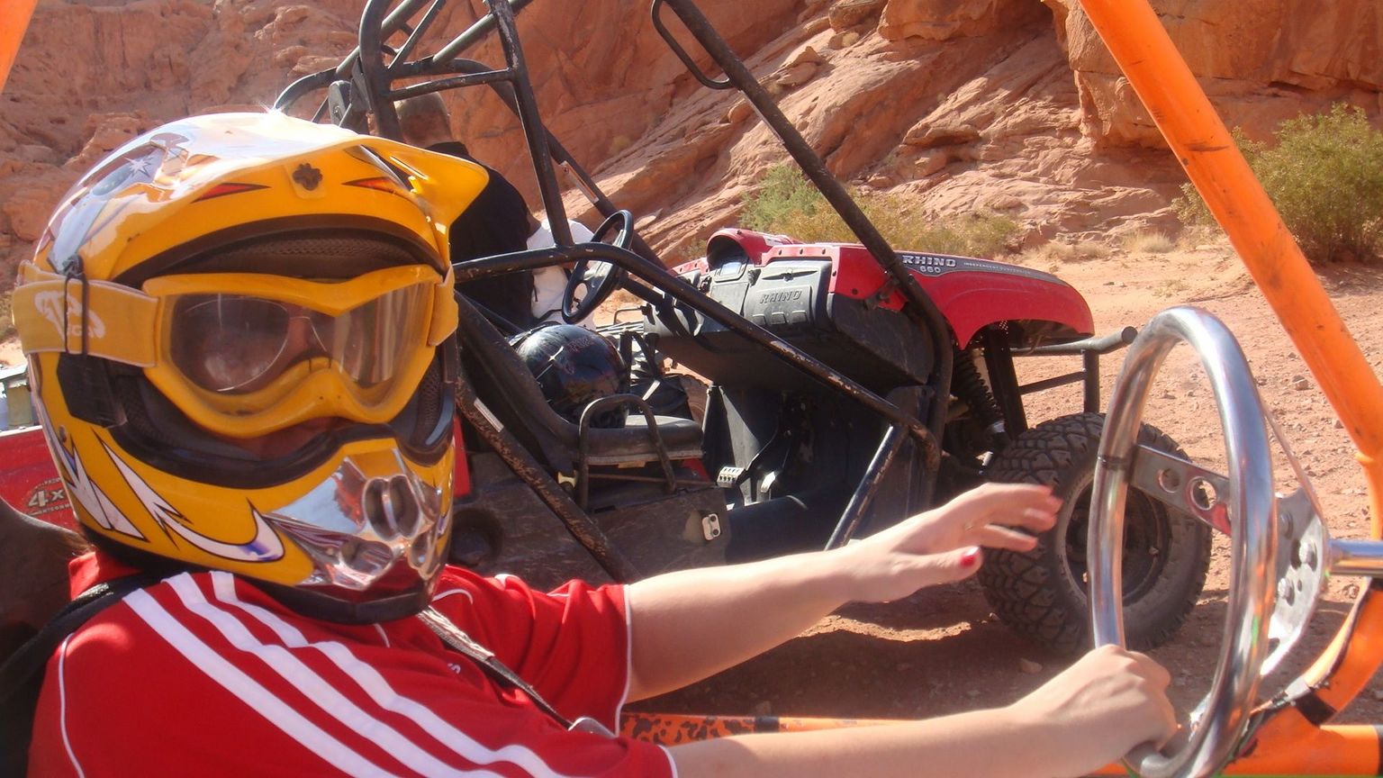 Buggy Ride