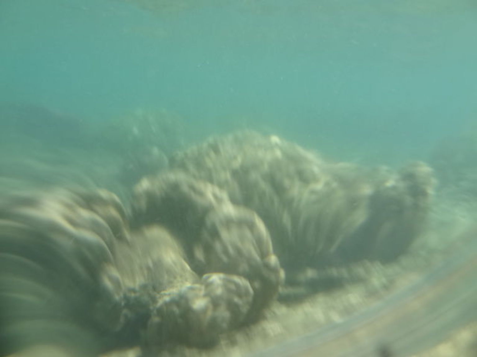 under water pix