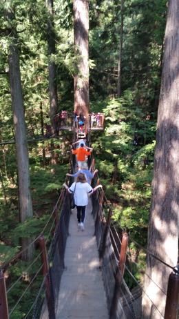 Photo of fun in the trees After crossing the bridge, the amazing park has a lot to offer. Lots of bridges to walk from one tree to another. , Vanina M - September 2016