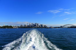 Photo of The view of Sydney Skyline On the way out to sea for the whale watching cruise. Very beautiful scenery. , Michael S - June 2015