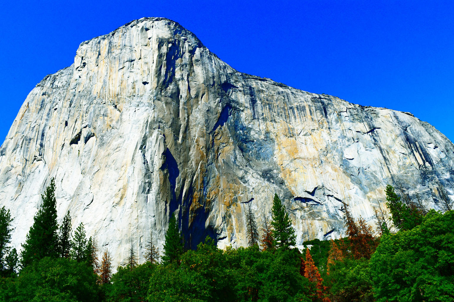 25 Best Things To Do In Fresno California Updated 2021 Trip101