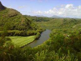Photo of Waimea River Who knew we would not only learn movie trivia but also so some spectacular sites on the island like this one? That was icing on the cake - saving us the time and the gas of having us drive around ... , Melissa W - June 2014
