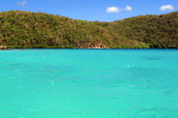 Photo of princess bay View from the water of Princess Bay, in Hurricane Hole, which has amazing snorkeling. Kayak or paddle board here... , sailpepper - September 2013
