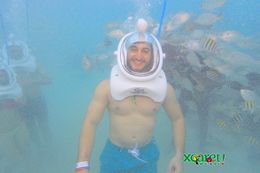 Photo of Underwater Sea Trek Sea Trek activity was awesome. Definitely a must if you only have time for one thing. , Younes S - October 2015