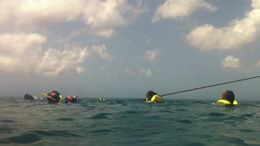 Photo of Catamaran Party Cruise to Nevis from St. Kitts Catamaran Party Cruise to Nevis from St. Kitts - October 2011