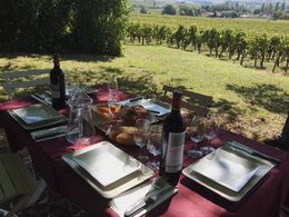 Photo of Lunch with a View! The first part of lunch provided after our morning ride and tour of the Château. Fruit and cheese platters followed! , Mark - October 2014