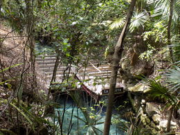 Photo of River ride This ride is at the start of the venue near the plus lockers and is a wonderfully tranquil boat ride in the cool shade. There's lots of interesting fish, terrapins, crabs and birds to see... It was ... , Ian L - June 2016