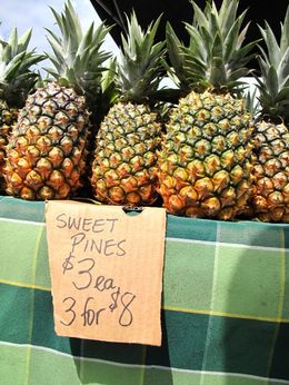 Photo of Great Produce The Byron Markets on Thursday morning have the very best produce from all around the region. Unfortunately, all the restaurants shop here as well, so you have to be fast or they buy up all the good ... , ROD C - January 2011