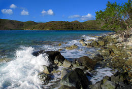 Photo of hrcn_hole_0499 In Hurrican Hole, looking Back toward Princess Bay and the entry along the roadside. Great Kayak spot! , sailpepper - September 2013
