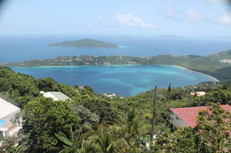 Photo of View of Megan's Bay from the top of the Mountain on St. Thomas Great view showing the eastern side of St Thomas. This picture shows a good view of Megan's Bay. , Steven J - September 2014