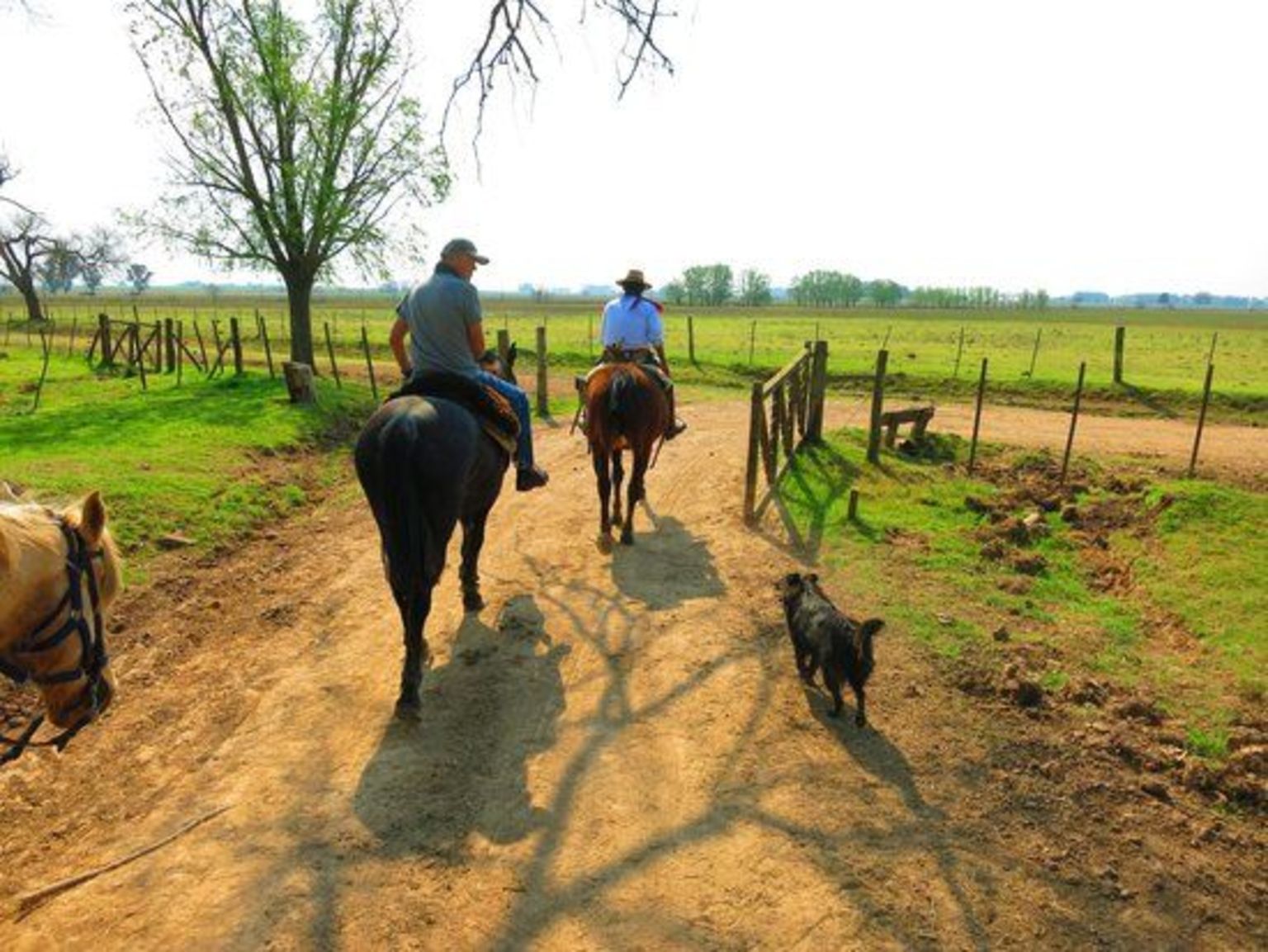 Horseback riding