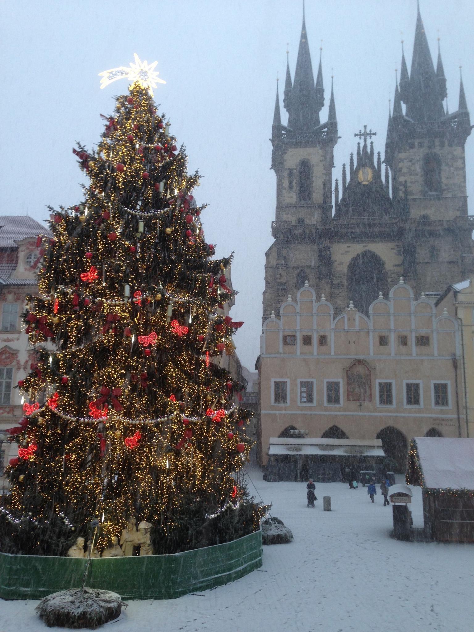old town xmas market
