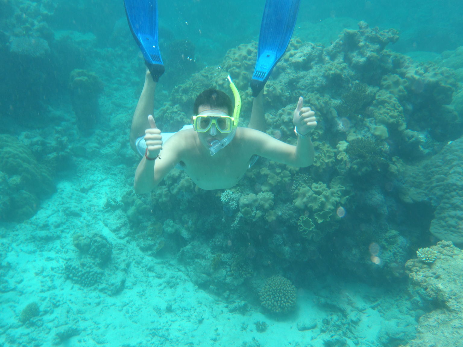 Reef Snorkel