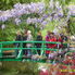 Photo of Paris Viagem diurna pelo Palácio de Versalhes e Giverny saindo de Paris com almoço THe Bridge at the Lily pond