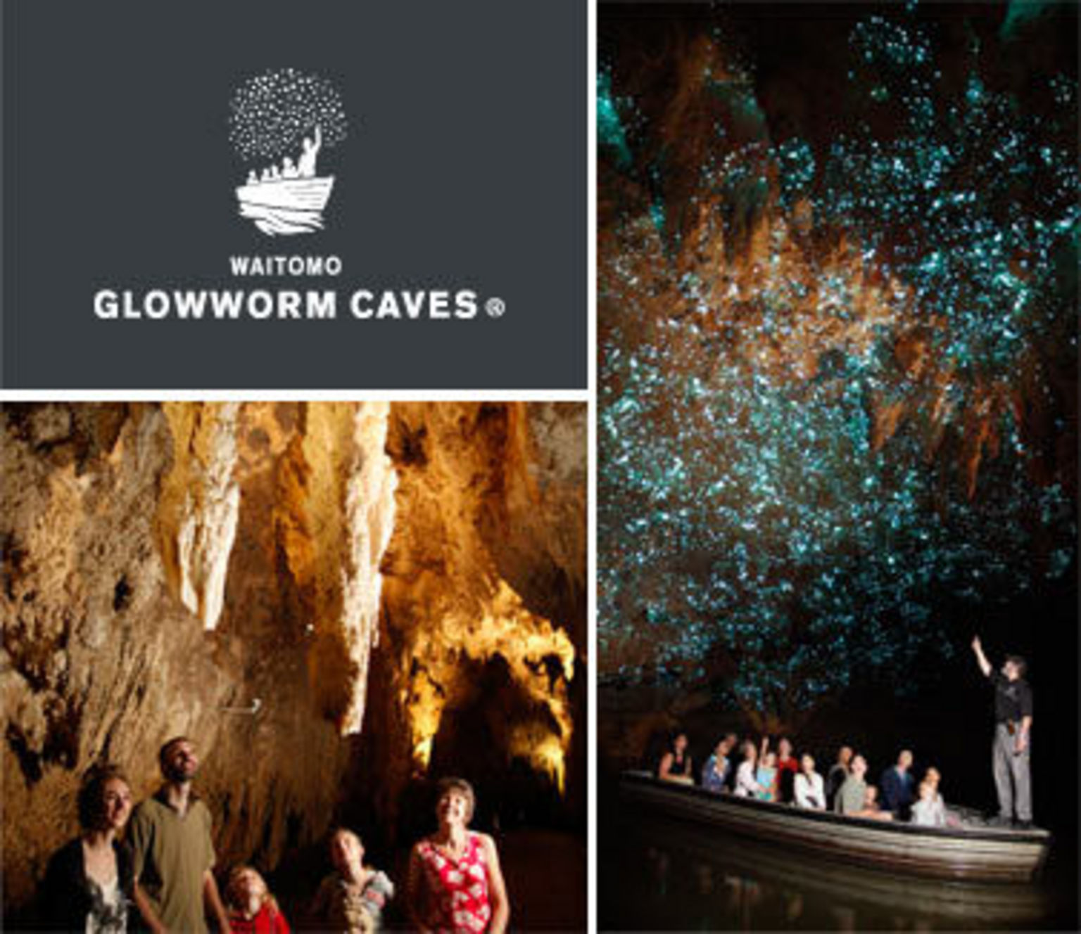 Glow worm grotto