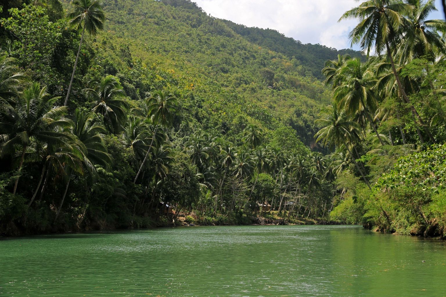 Loboc River