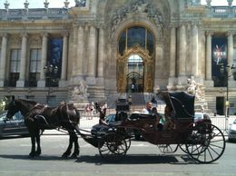 Photo of Paris Carriage and Horse Carriage bench seats were very comfortable and spacious for four persons. Six would have been tight in this particular carriage. (Perhaps they have larger carriages for larger groups.), Christopher D - August 2010