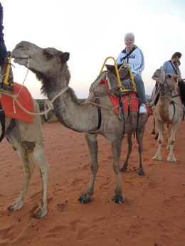 Photo of Anne and Trevor the camel Me and Trevor the camel setting off to see the sunrise at Ayres Rock , Anne H - November 2012